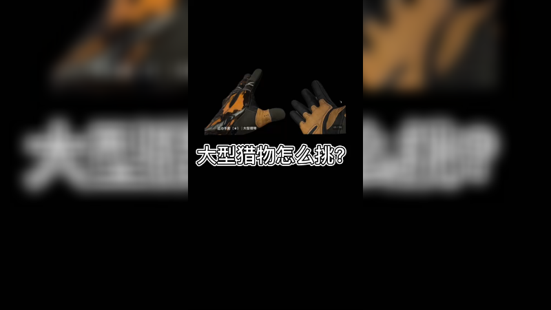 【csgo皮肤】大型猎物怎么挑选