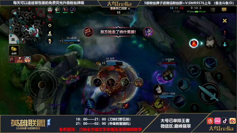 【2022-04-15 22点场】大鸟Irelia：大鸟：中单刺客英雄海
