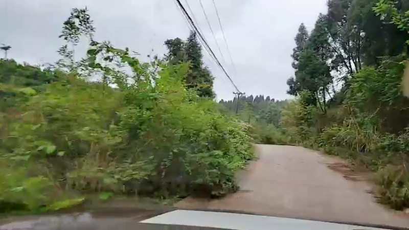 【2022-04-16 17点场】川味箩卜：百百在基地的快乐生活~