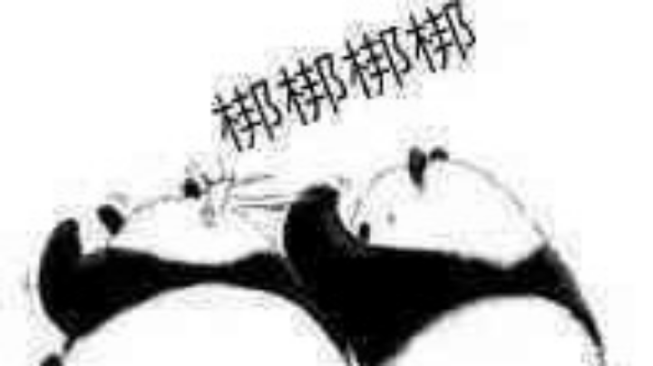 日常收破烂