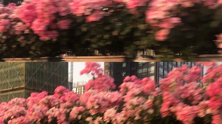 Tm惹人爱