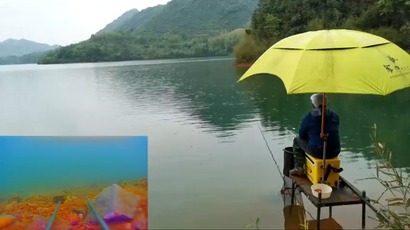 【2022-04-16 12点场】中华户外钓鱼：四门楼水库有惊喜
