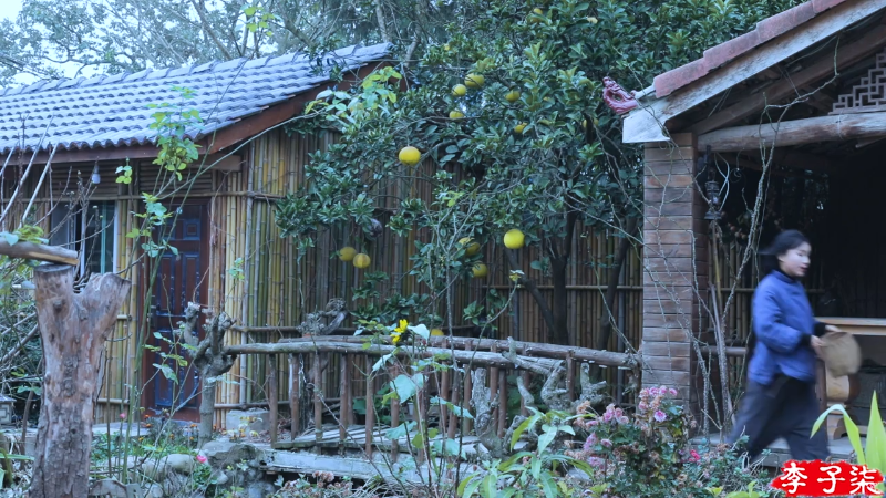 我在斗鱼看李子柒liziqi直播美食