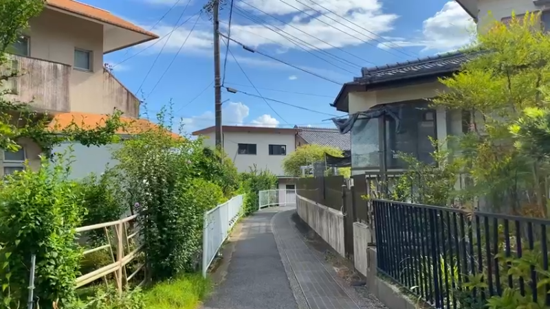 夏日蝉声
