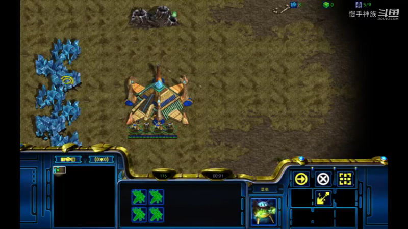 pvp打正面慢手神族星际日常2022-04-26