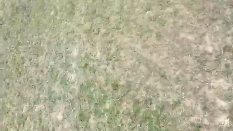 【2022-04-17 16点场】主播阿郎：海南环岛游37