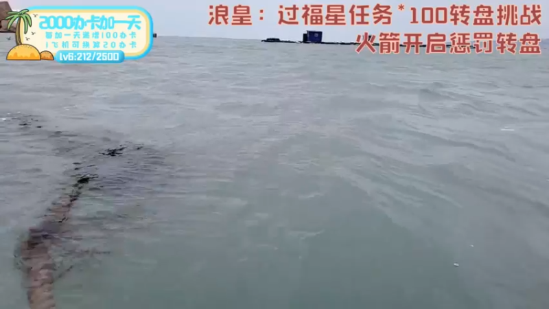 【2022-04-17 11点场】逐梦兄弟：《荒岛余生》第4天 想吃肉