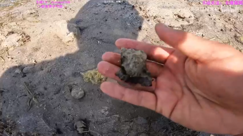 【2022-04-18 02点场】Happy丨猫腻：【猫腻】爱生活爱游戏