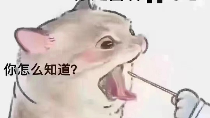 哦哦哦哦哦