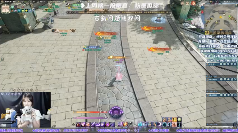 【2022-04-18 00点场】一只蓝泠：蓝泠：萌新导师有问必答