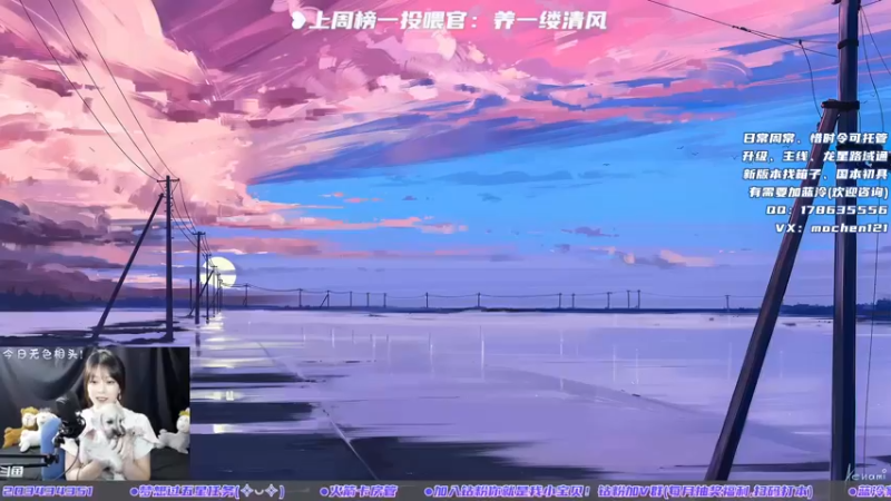 【2022-04-17 18点场】一只蓝泠：蓝泠：萌新导师有问必答