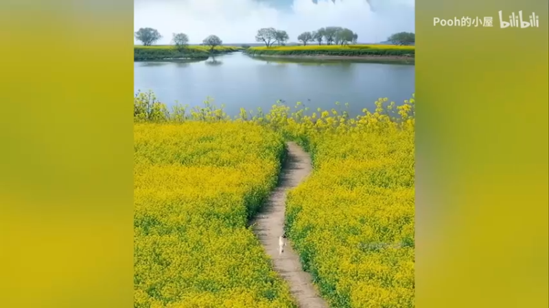 【2022-04-17 23点场】zard1991：zard1991 chill dude