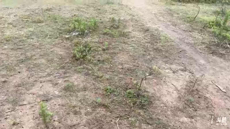 【2022-04-18 10点场】主播阿郎：海南环岛游38