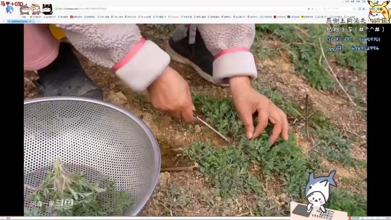 【2022-04-18 21点场】宝贝鱼O3O：【贝贝鱼15连喷嗓子哑了】开船了