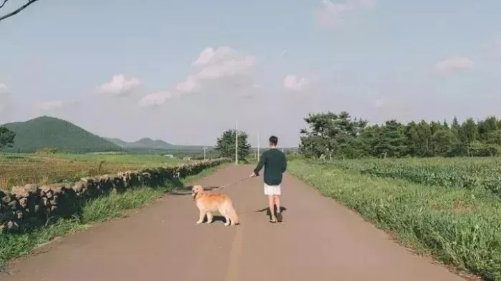 一些东西，被毁了，就是被毁了，不管如何弥补，那也有着刺眼的裂