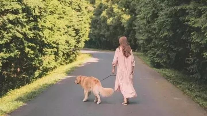 三十年河东，三十年河西，莫欺少年穷！