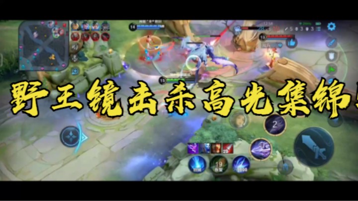 【王者荣耀】野王镜击杀高光集锦！