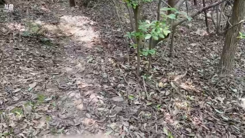 【2022-04-19 13点场】店长盖伦：早上10点来