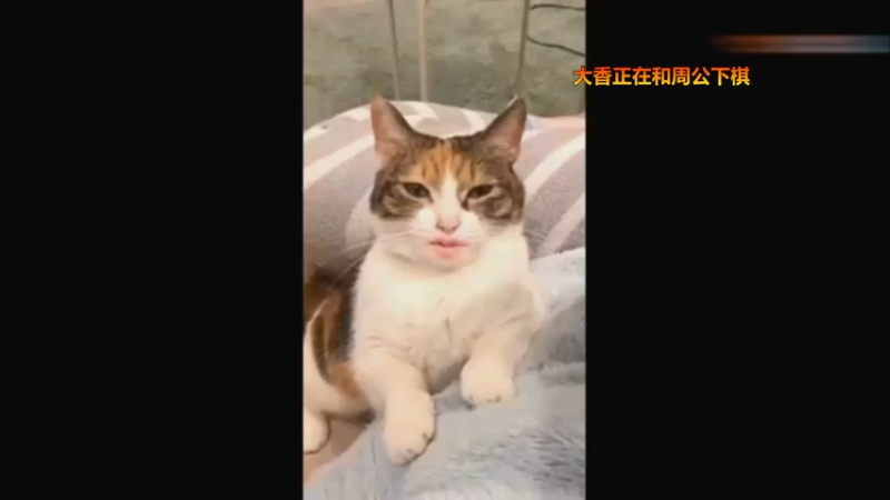 【2022-04-19 13点场】Biu十香：【顶级直播画质】萌新入坑日常~逃离塔克夫