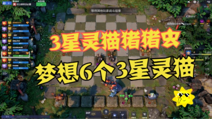 3星灵猫猪猪虫，甚至想6个3星灵猫