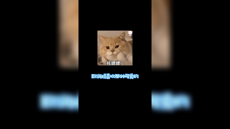 可爱就是多种多样的