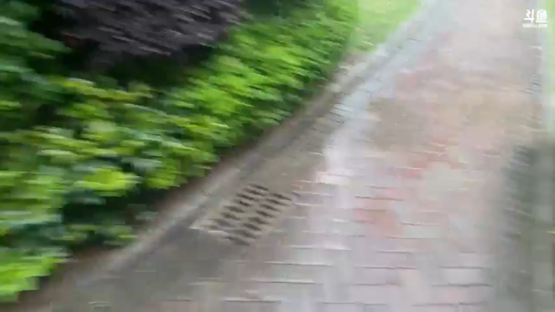 【2022-04-20 17点场】驴酱的冯雨大王：冯雨大王：今天是变天计划第520天~
