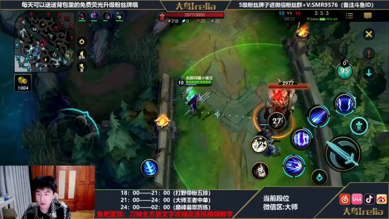 【2022-04-20 02点场】大鸟Irelia：大鸟：极致操作纵享丝滑