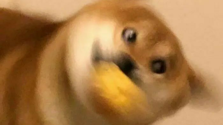 丹瘾犯了