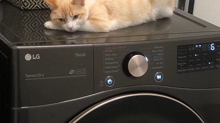 看啥