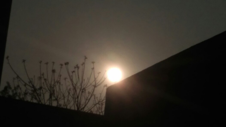 今天的中路有些下饭