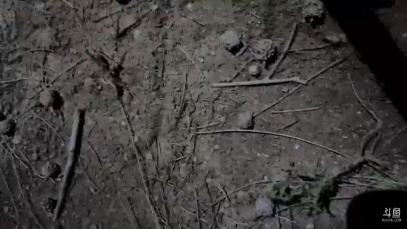 【2022-04-20 23点场】主播阿郎：海南环岛游40