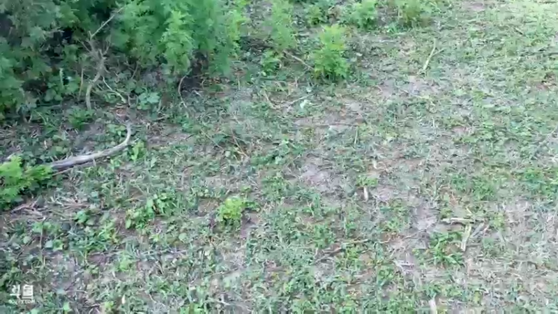 【2022-04-22 17点场】主播阿郎：海南环岛游42