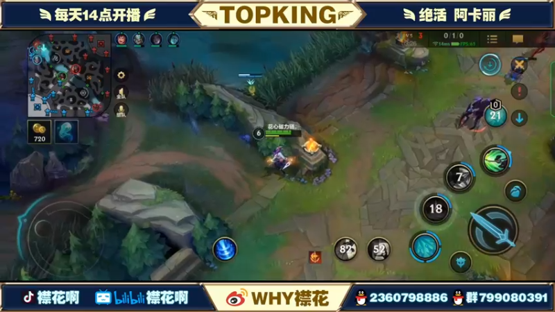 【2022-04-21 20点场】襟花啊：国一阿卡丽王者局被杀鸡