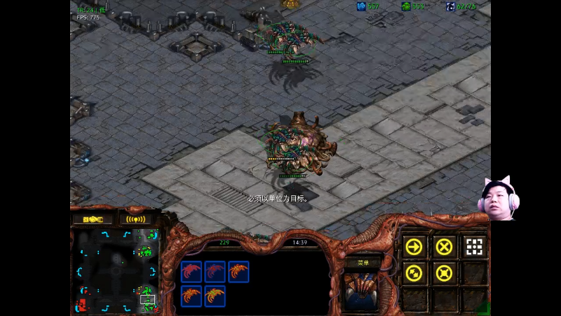 【星际争霸】星际猜猜的精彩时刻 20220422 00点场