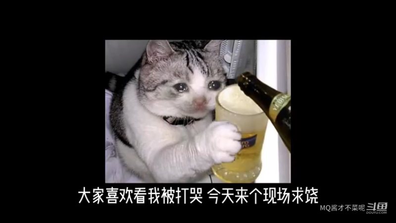 变猪猪啦