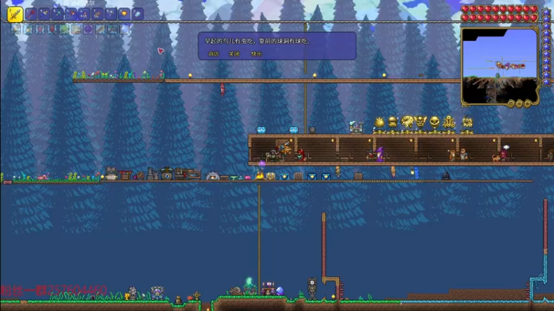 【2022-04-22 20点场】夏天夏天丶丶：先攻女枪峡谷之巅冲前十