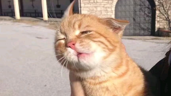 。