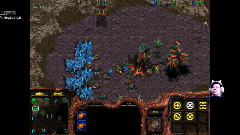 【星际争霸】星际猜猜的精彩时刻 20220423 00点场