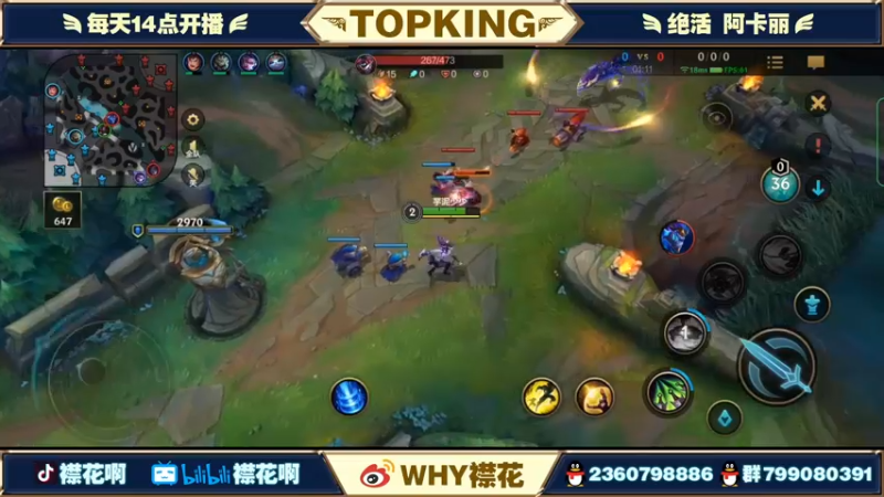 【2022-04-22 20点场】襟花啊：国一阿卡丽王者局被杀鸡