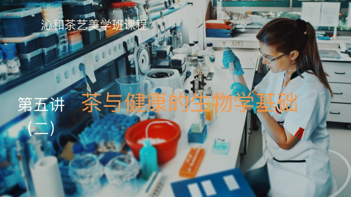 茶与健康的生物学基础二