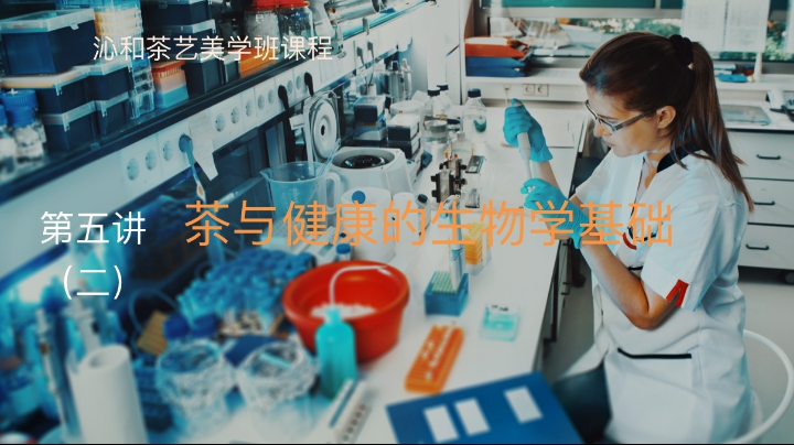 茶与健康的生物学基础二