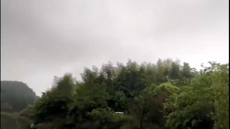 【2022-04-23 08点场】中华户外钓鱼：水库开钓啦！