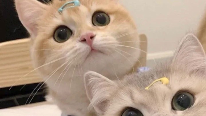 飞车端游炸宝石现状？