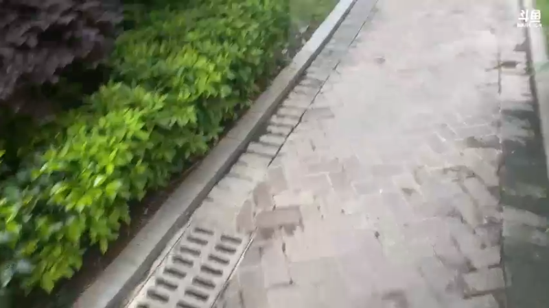 【2022-04-23 17点场】驴酱的冯雨大王：冯雨大王：今天是变天计划第523天~