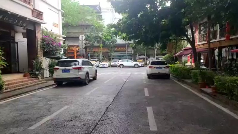 【2022-04-18 13点场】叶子户外：《西双版纳》day3