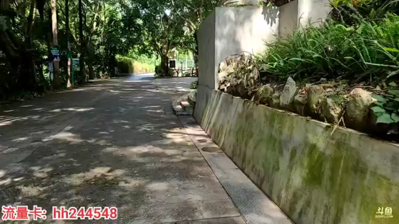 【2022-04-20 15点场】叶子户外：《西双版纳》day5