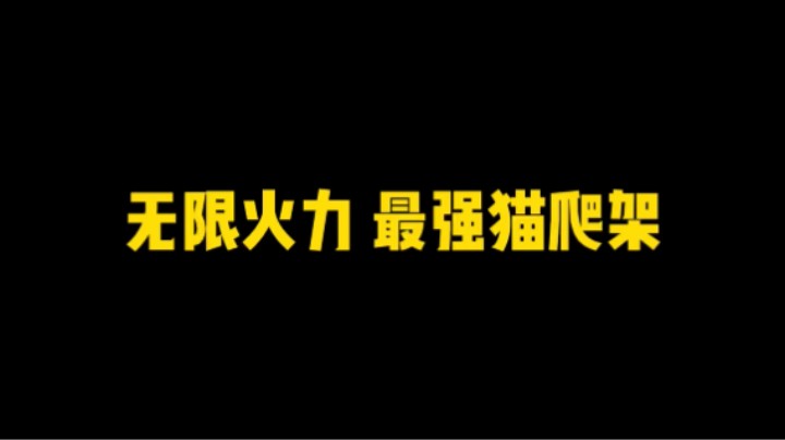 谁才是 无限火力 最强猫爬架？