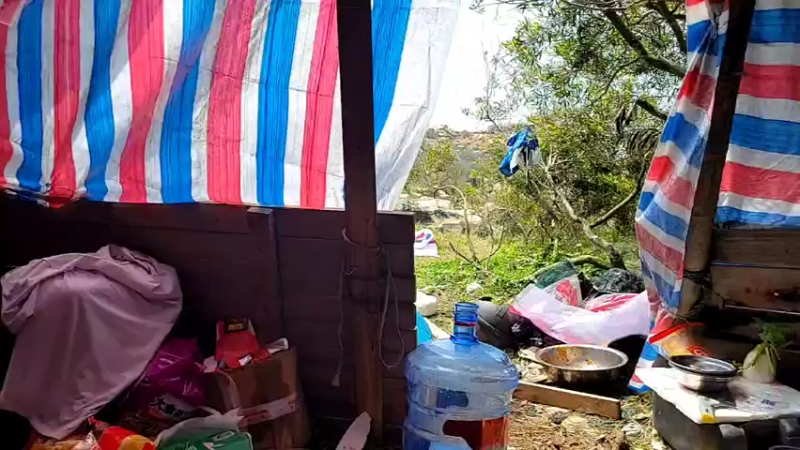 【2022-04-24 10点场】逐梦兄弟：《荒岛余生》第11天 今天最后一天了！