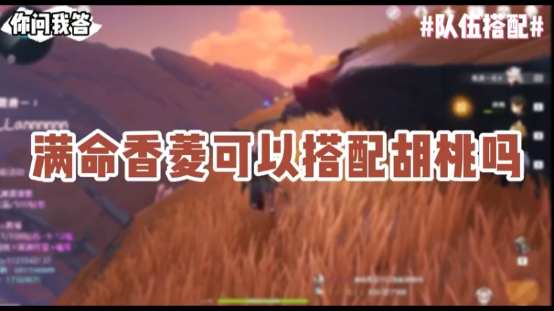 【原神】你问我答-满命香菱可以搭配胡桃吗