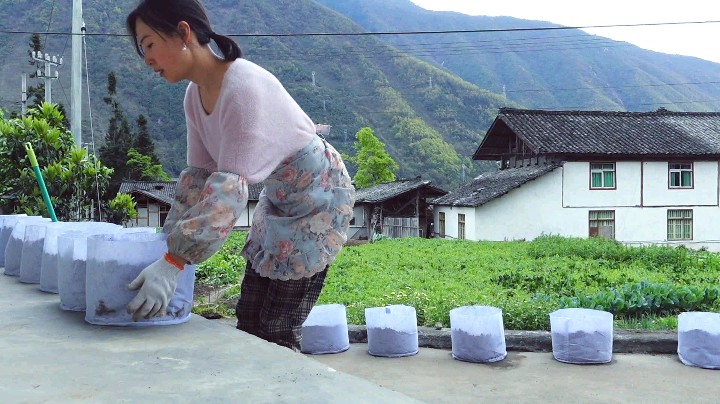 想种出绿色健康的蔬菜，先学做营养土吧